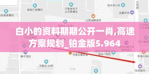 白小的资料期期公开一肖,高速方案规划_铂金版5.964