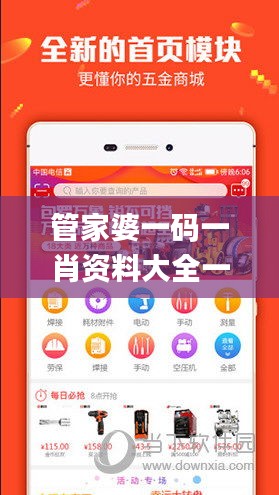 管家婆一码一肖资料大全一语中特,全面数据执行方案_kit9.912