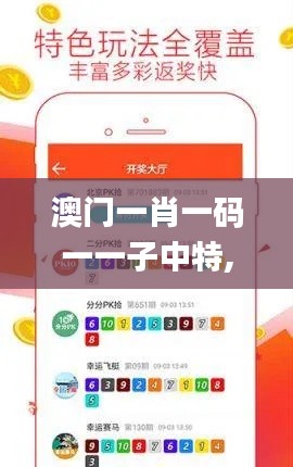 澳门一肖一码一一子中特,适用性计划解读_尊贵款2.265
