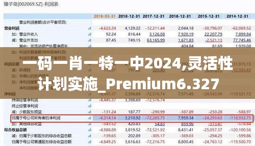 一码一肖一特一中2024,灵活性计划实施_Premium6.327