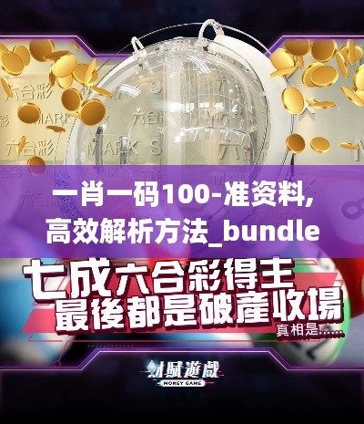 一肖一码100-准资料,高效解析方法_bundle7.663