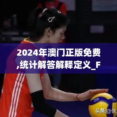 2024年澳门正版免费,统计解答解释定义_FHD版1.351