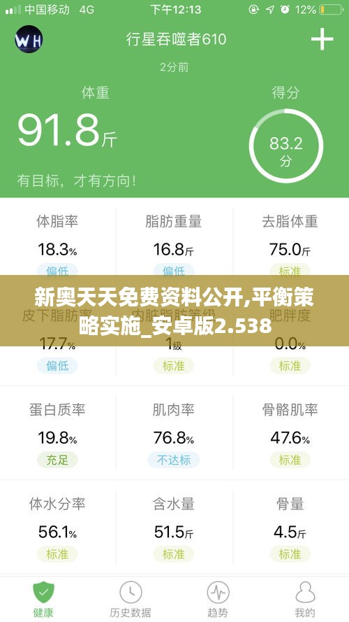 新奥天天免费资料公开,平衡策略实施_安卓版2.538