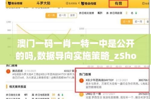 澳门一码一肖一特一中是公开的吗,数据导向实施策略_zShop10.970