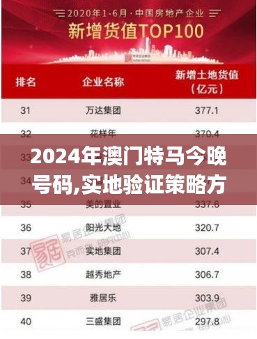 2024年澳门特马今晚号码,实地验证策略方案_复刻款7.134