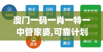 澳门一码一肖一特一中管家婆,可靠计划策略执行_Harmony款10.487