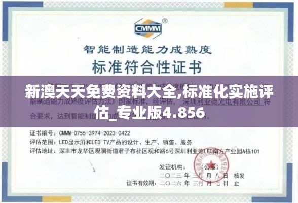 新澳天天免费资料大全,标准化实施评估_专业版4.856