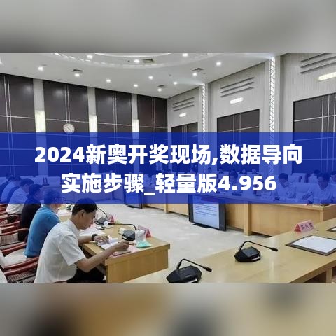 2024新奥开奖现场,数据导向实施步骤_轻量版4.956