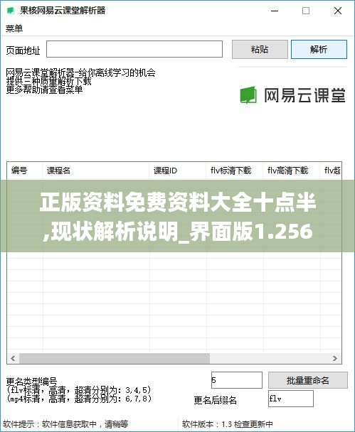 正版资料免费资料大全十点半,现状解析说明_界面版1.256