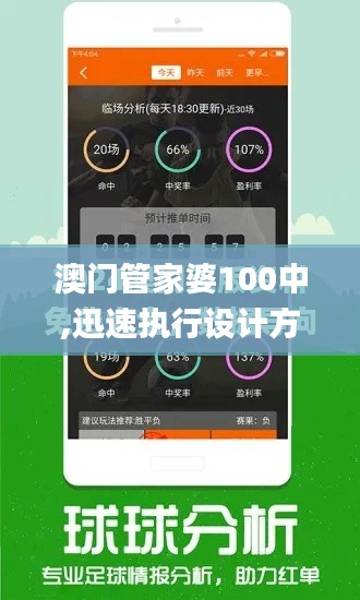 澳门管家婆100中,迅速执行设计方案_复刻款9.640