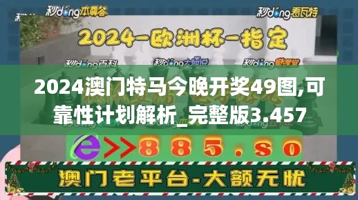 2024澳门特马今晚开奖49图,可靠性计划解析_完整版3.457