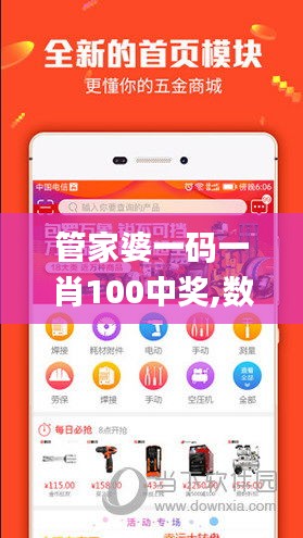 管家婆一码一肖100中奖,数据解析支持设计_Phablet5.318