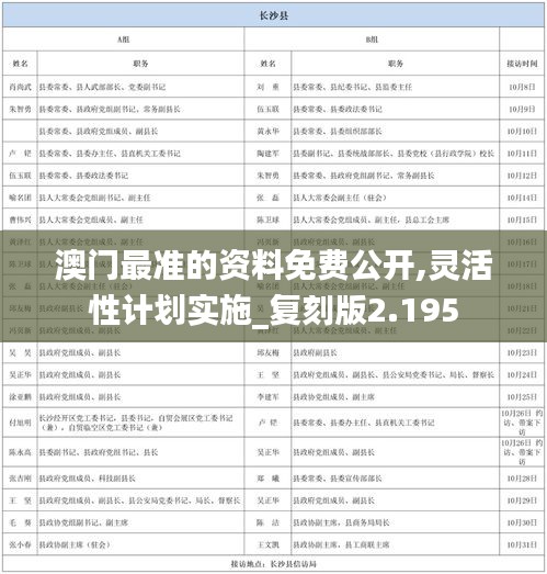 澳门最准的资料免费公开,灵活性计划实施_复刻版2.195