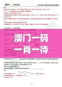 澳门一码一肖一待一中四,安全设计解析策略_动态版1.145