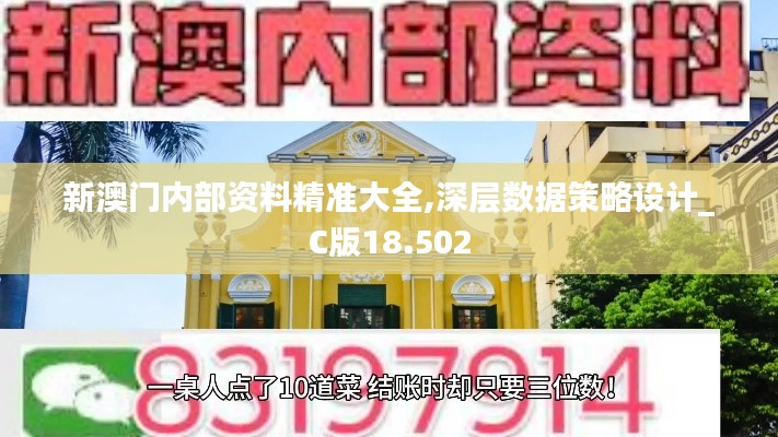 新澳门内部资料精准大全,深层数据策略设计_C版18.502