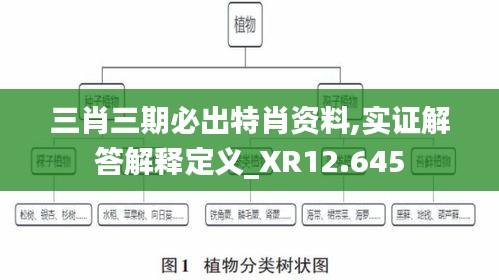三肖三期必出特肖资料,实证解答解释定义_XR12.645