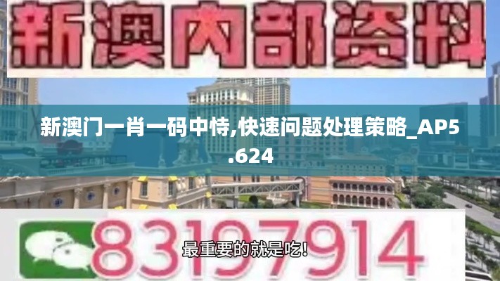 新澳门一肖一码中恃,快速问题处理策略_AP5.624