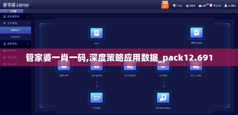 管家婆一肖一码,深度策略应用数据_pack12.691