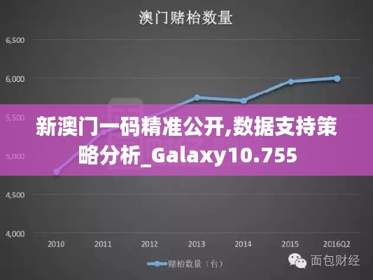 新澳门一码精准公开,数据支持策略分析_Galaxy10.755