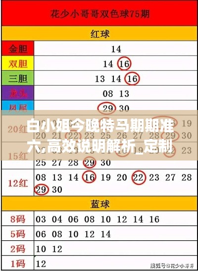 白小姐今晚特马期期准六,高效说明解析_定制版8.153
