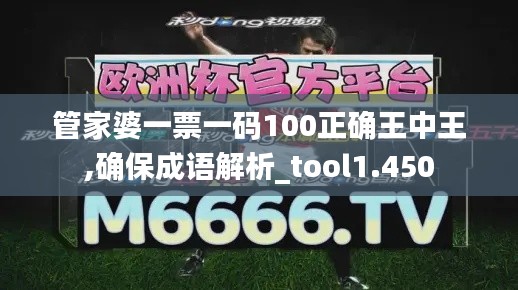 管家婆一票一码100正确王中王,确保成语解析_tool1.450