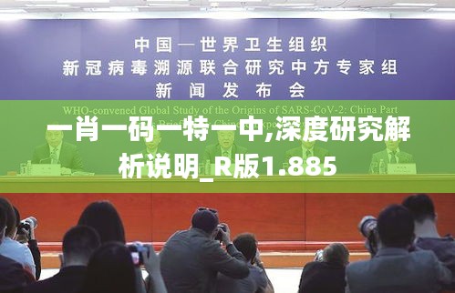 一肖一码一特一中,深度研究解析说明_R版1.885