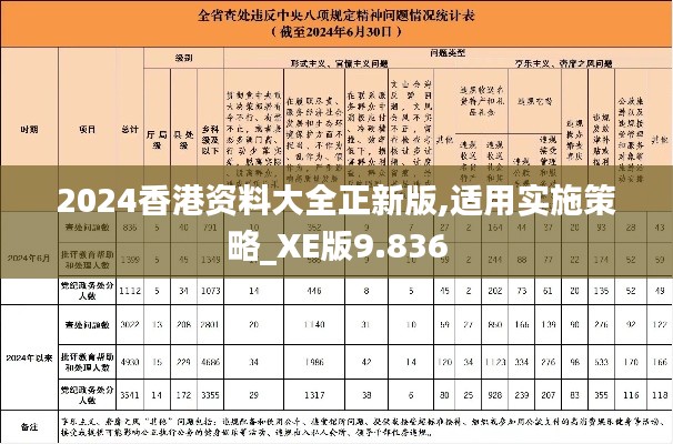 2024香港资料大全正新版,适用实施策略_XE版9.836