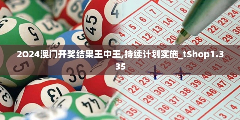 2O24澳门开奖结果王中王,持续计划实施_tShop1.335