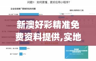 新澳好彩精准免费资料提供,实地验证数据策略_GT6.304