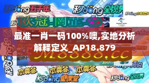 最准一肖一码100%噢,实地分析解释定义_AP18.879
