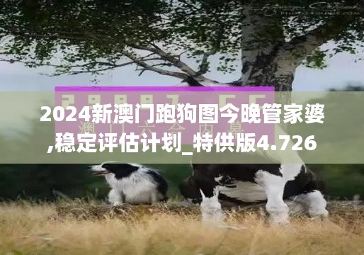 2024新澳门跑狗图今晚管家婆,稳定评估计划_特供版4.726