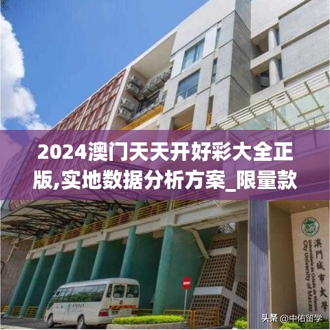 2024澳门天天开好彩大全正版,实地数据分析方案_限量款10.215