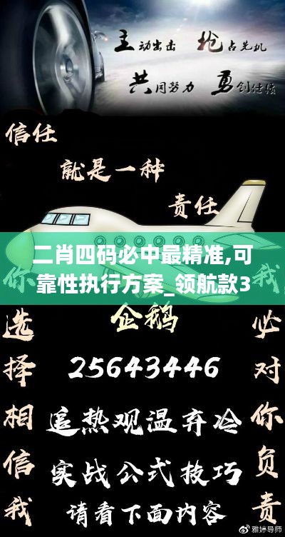 二肖四码必中最精准,可靠性执行方案_领航款3.375