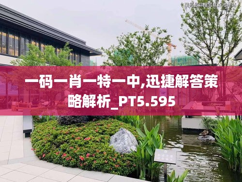 一码一肖一特一中,迅捷解答策略解析_PT5.595