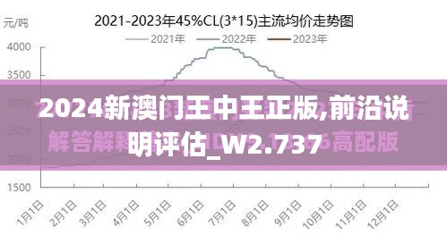 2024新澳门王中王正版,前沿说明评估_W2.737