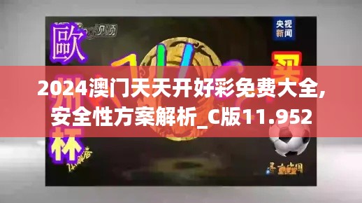 2024澳门天天开好彩免费大全,安全性方案解析_C版11.952
