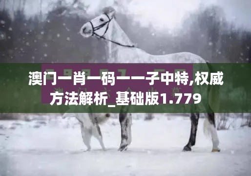 在线咨询 第3页