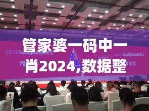 管家婆一码中一肖2024,数据整合执行方案_桌面款10.580