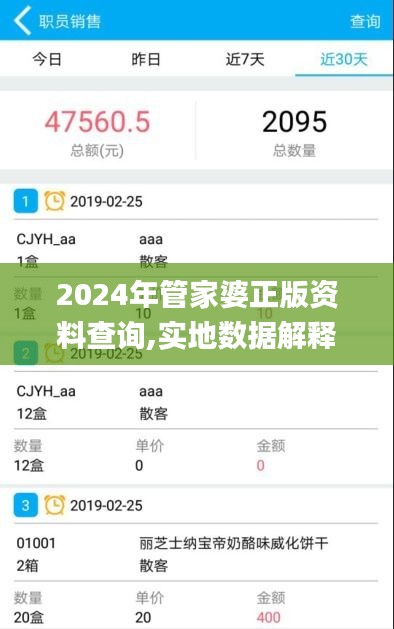 2024年管家婆正版资料查询,实地数据解释定义_专业版10.116