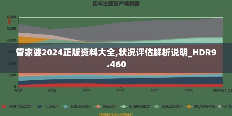 管家婆2024正版资料大全,状况评估解析说明_HDR9.460