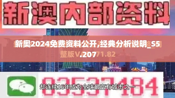 新奥2024免费资料公开,经典分析说明_S5.207