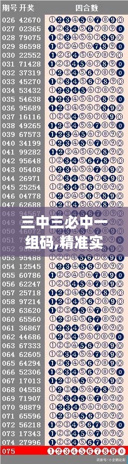 三中三必中一组码,精准实施步骤_R版2.471