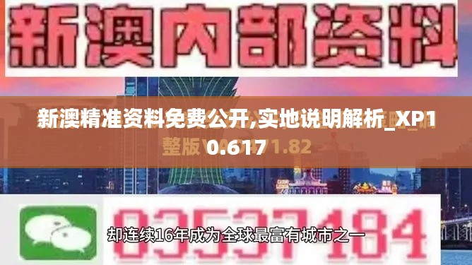 新澳精准资料免费公开,实地说明解析_XP10.617