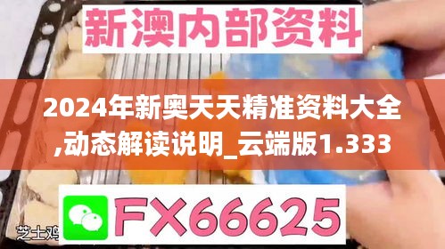 2024年新奥天天精准资料大全,动态解读说明_云端版1.333