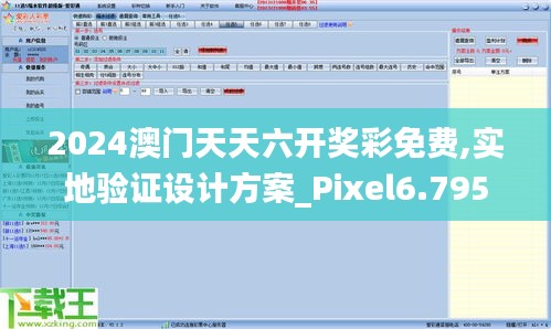 2024澳门天天六开奖彩免费,实地验证设计方案_Pixel6.795
