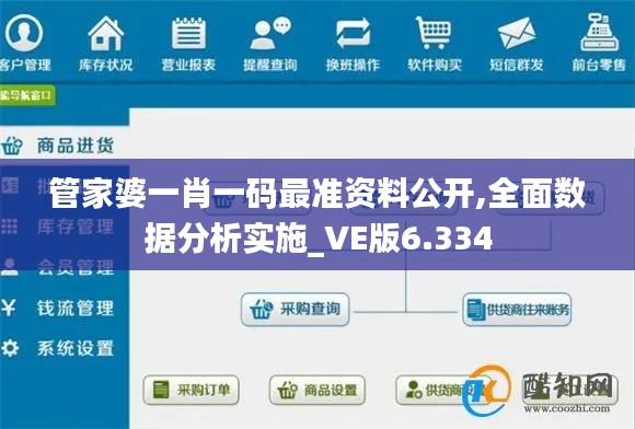 管家婆一肖一码最准资料公开,全面数据分析实施_VE版6.334