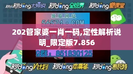 202管家婆一肖一码,定性解析说明_限定版7.856