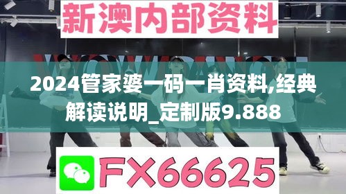 2024管家婆一码一肖资料,经典解读说明_定制版9.888